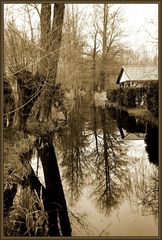 Im Spreewald