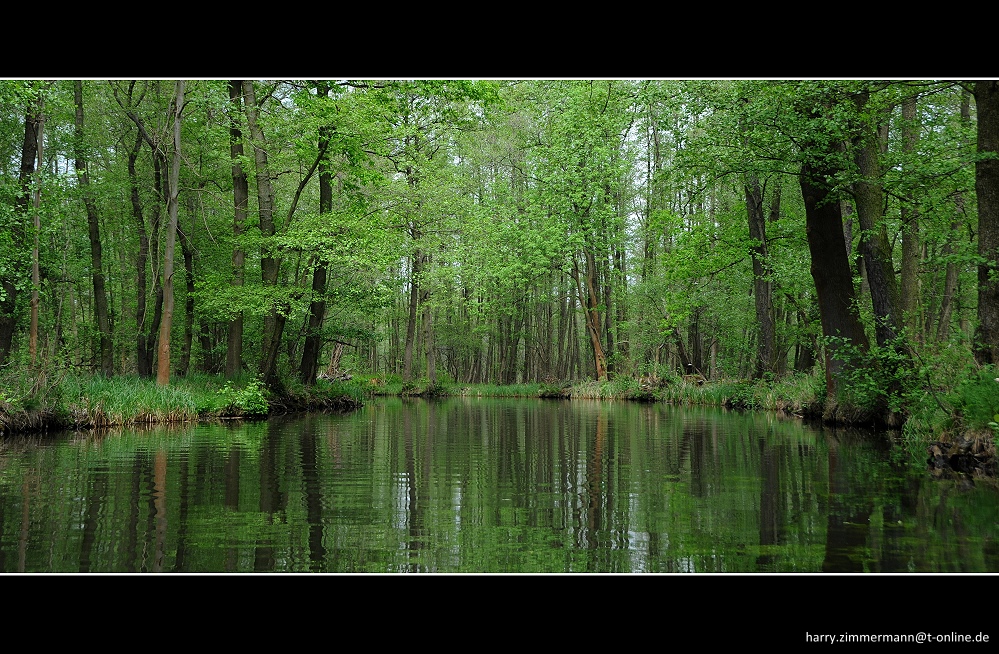 Im Spreewald