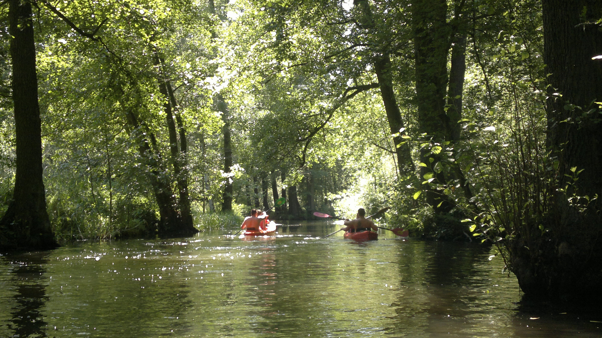 im Spreewald