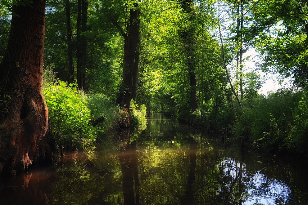 Im Spreewald / 4