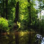 Im Spreewald / 4