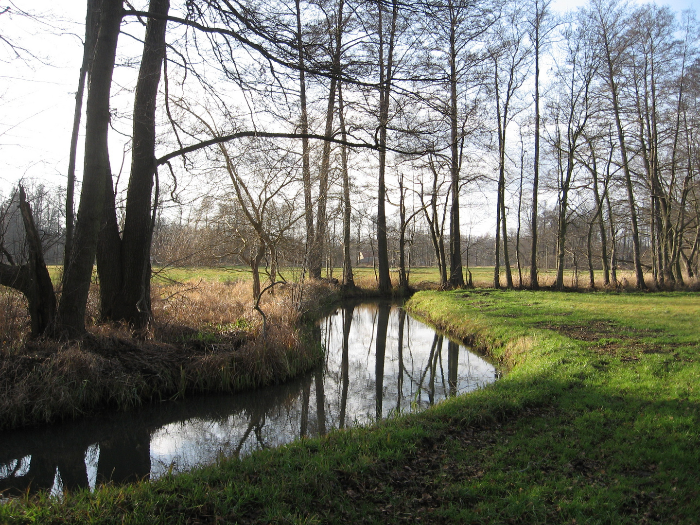 im Spreewald