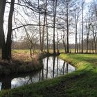 im Spreewald