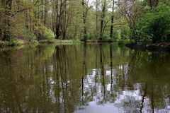 im Spreewald