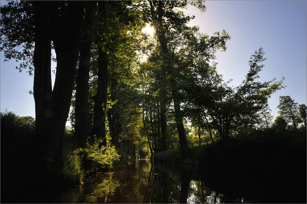 Im Spreewald / 7