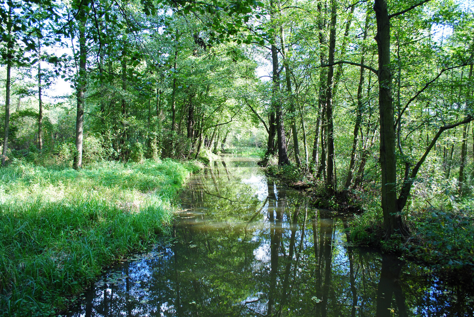 Im Spreewald