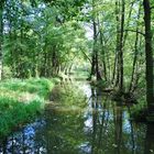 Im Spreewald