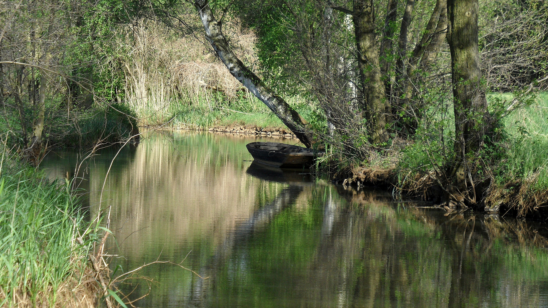 Im Spreewald