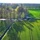 im Spreewald der Frühling kann kommen