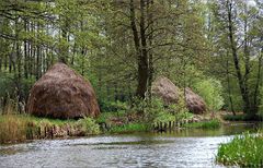 im Spreewald