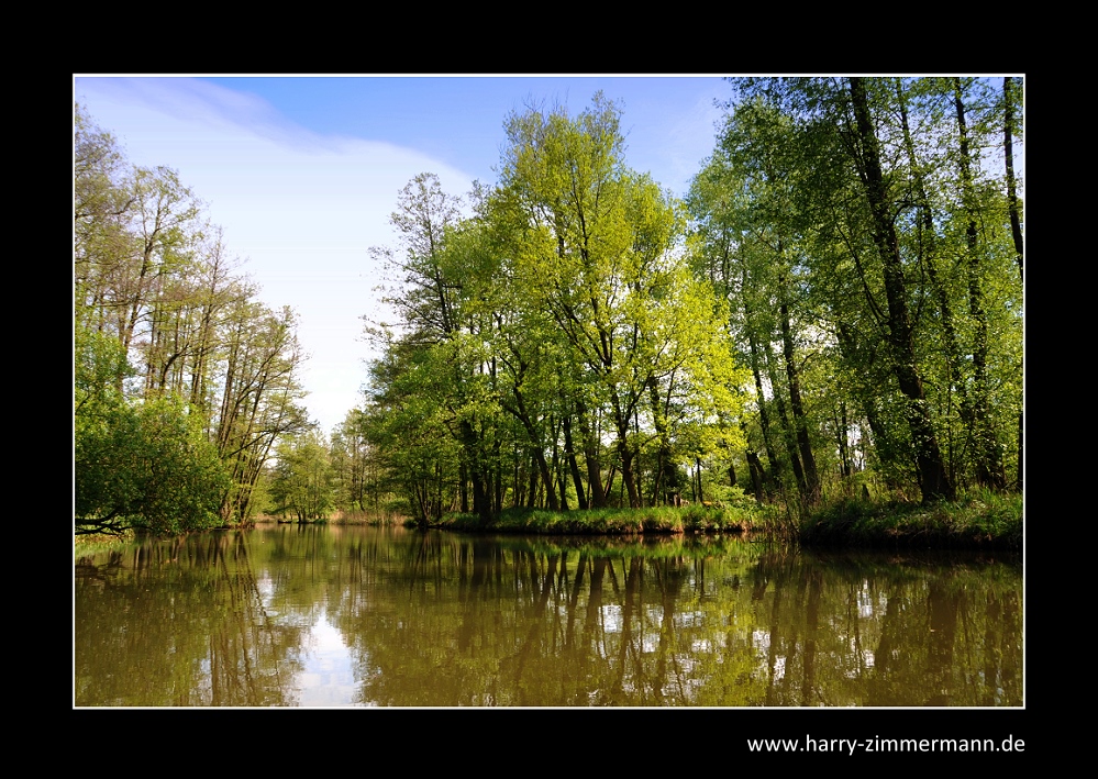 Im Spreewald unterwegs