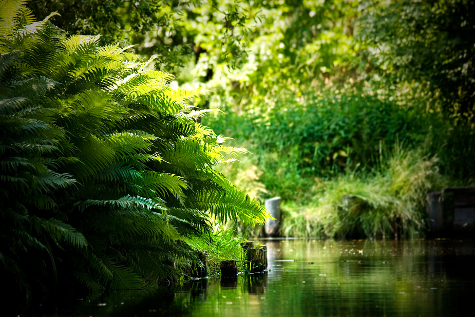 im Spreewald unterwegs