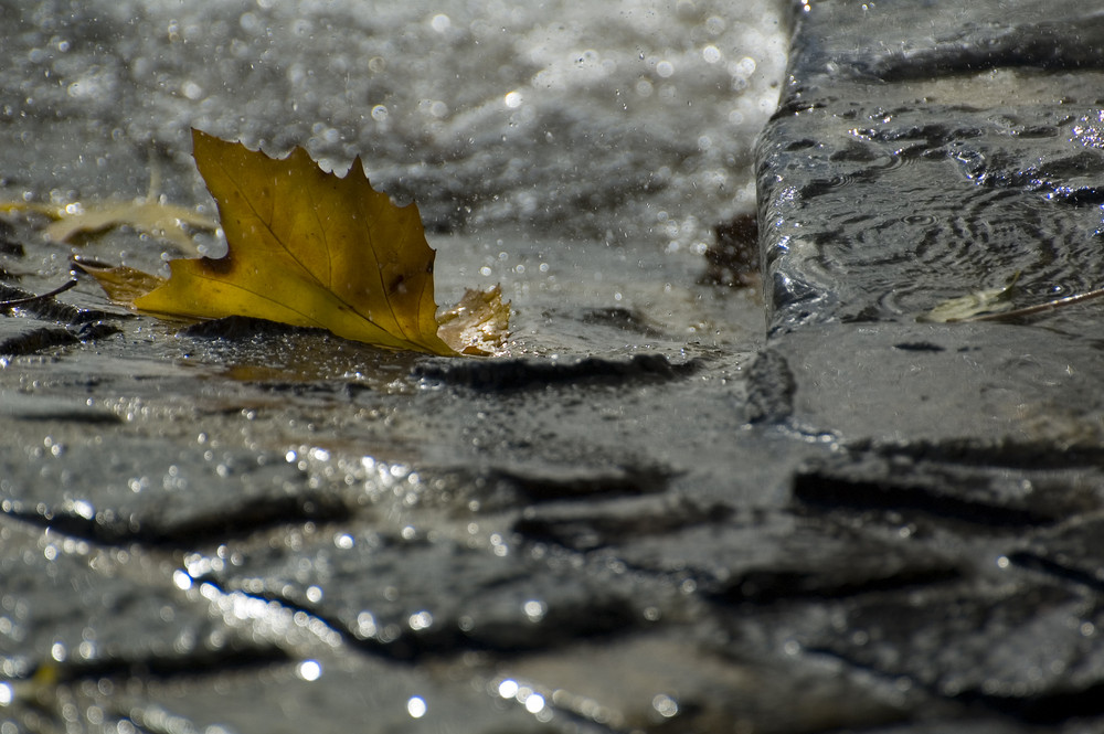 im sprühregen