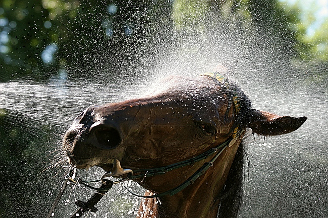 Im Sprühregen...