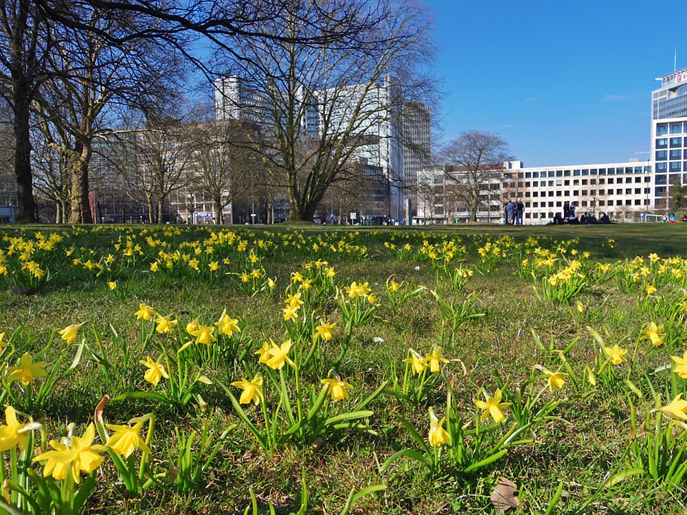 Im Stadtgarten