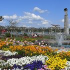 Im Stadtgarten von Konstanz