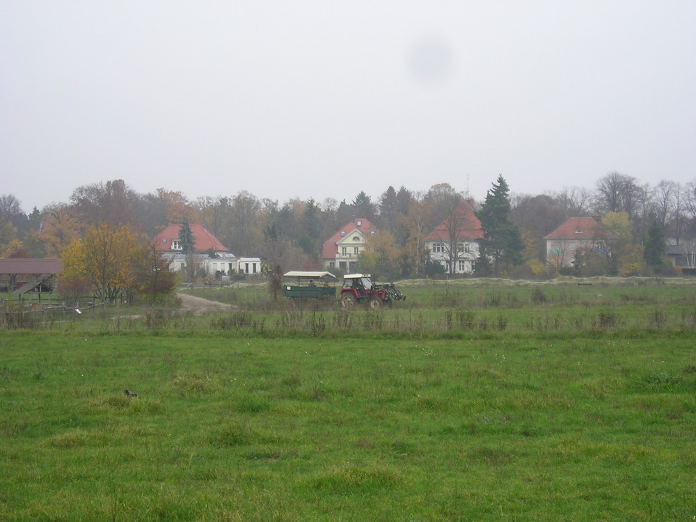 Im Stadtgebiet von Berlin...