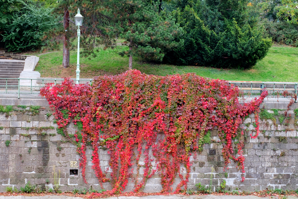 Im Stadtpark