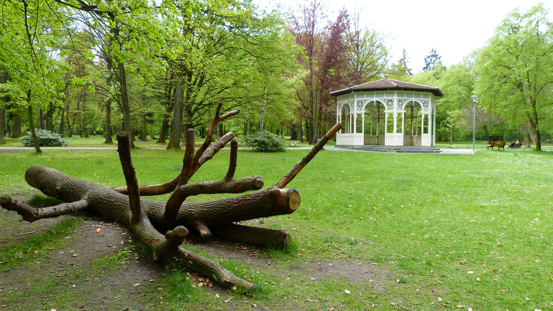 im Stadtpark 3