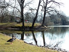 im Stadtpark