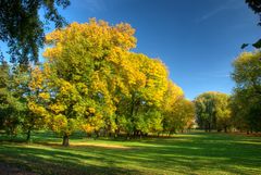 Im Stadtpark