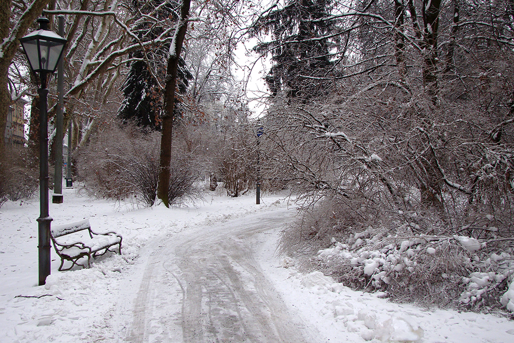 Im Stadtpark