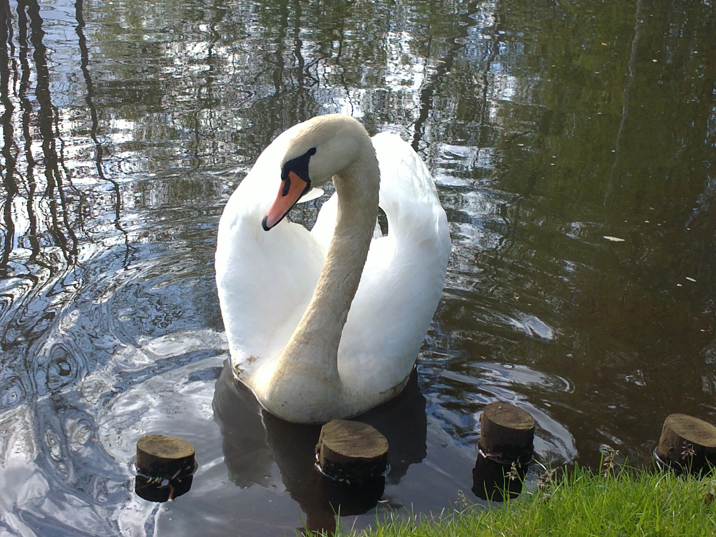 im Stadtpark