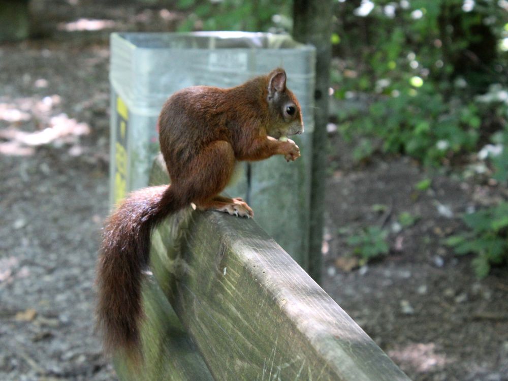 Im Stadtpark