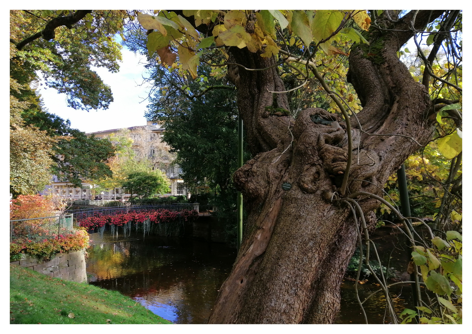 Im Stadtpark