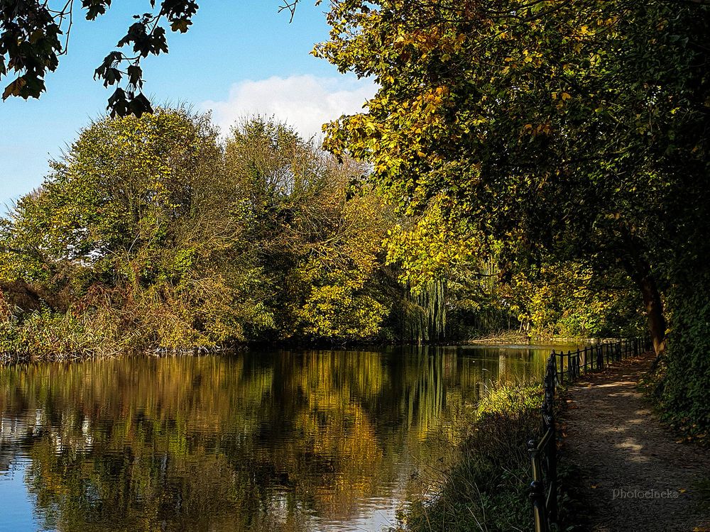 Im Stadtpark