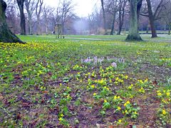 Im Stadtpark