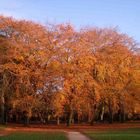 Im Stadtpark Hamburg