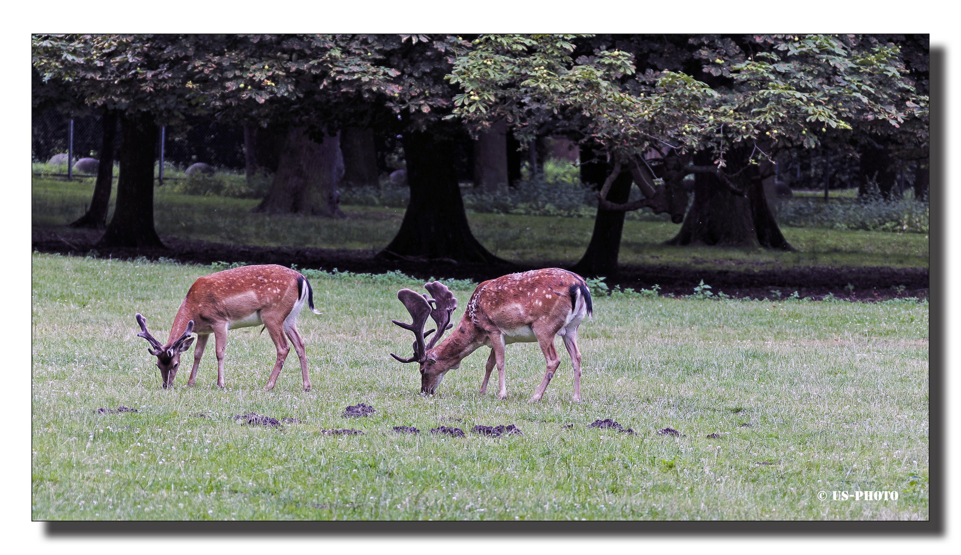 Im Stadtpark Hannover #2