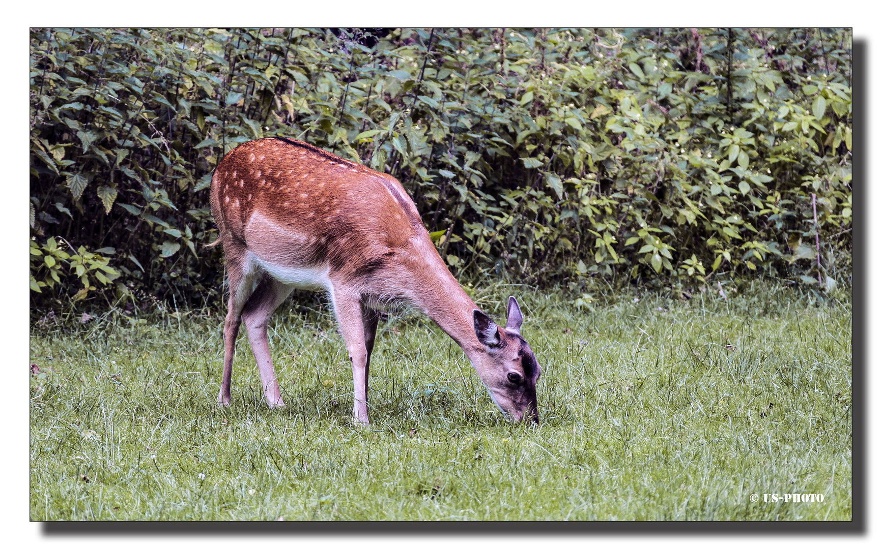 Im Stadtpark Hannover