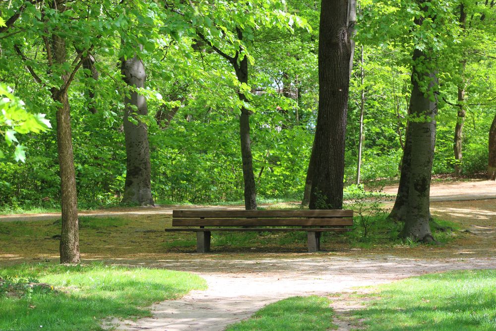 Im Stadtpark im Frühjahr