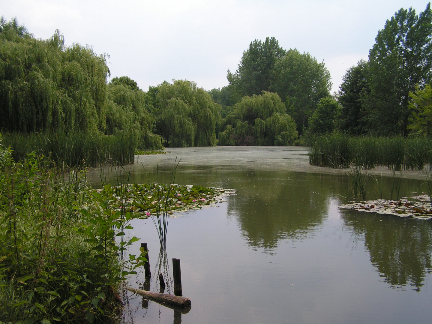 ...im Stadtpark in Sömmerda ...