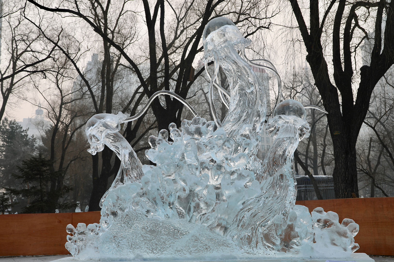 im Stadtpark: Quallen aus Eis