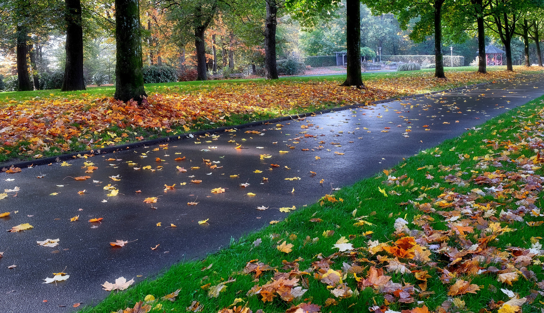 Im Stadtpark Remscheid-(22.10.2022)