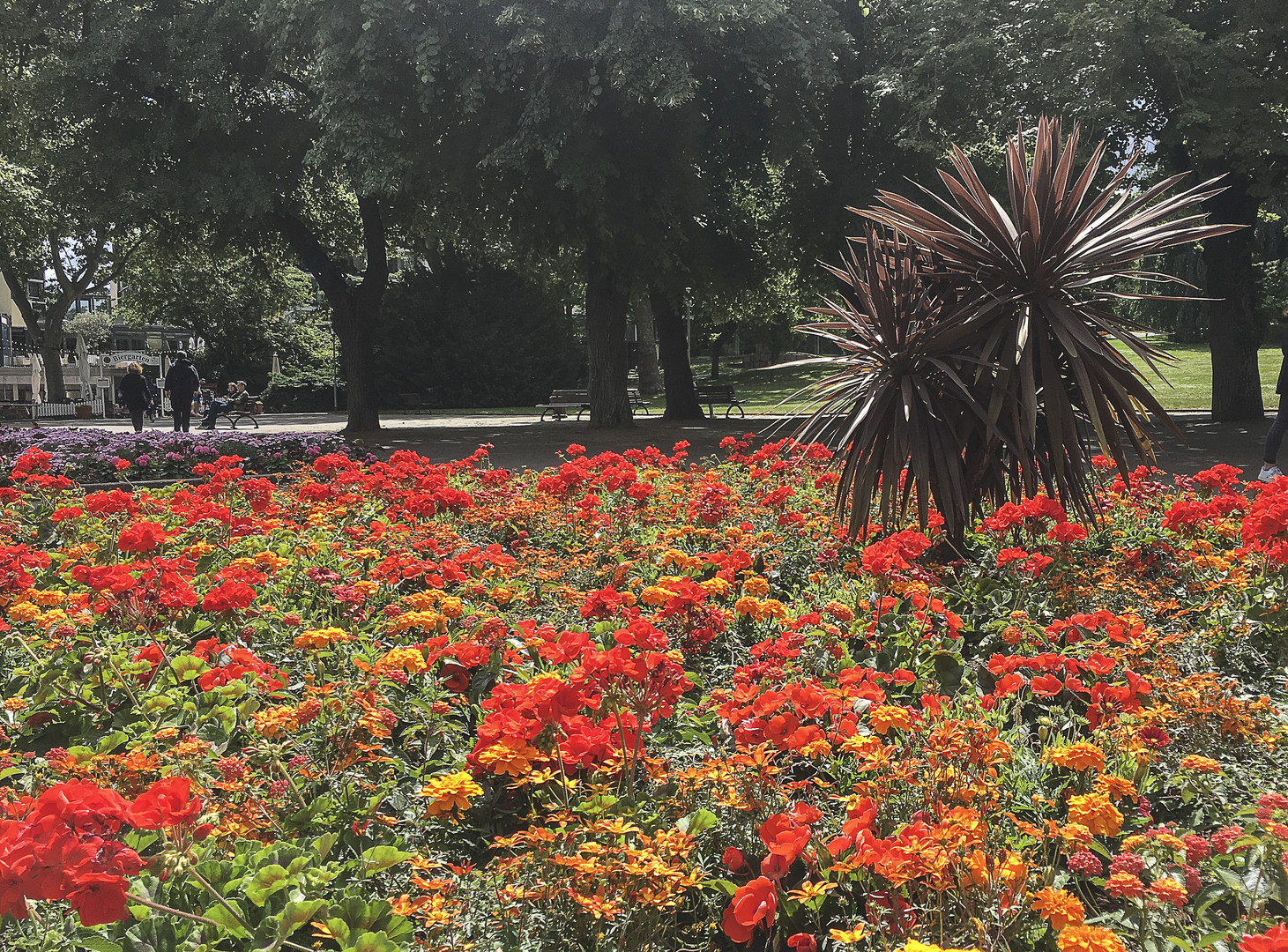 Im Stadtpark von Mainz