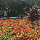 Im Stadtpark von Mainz