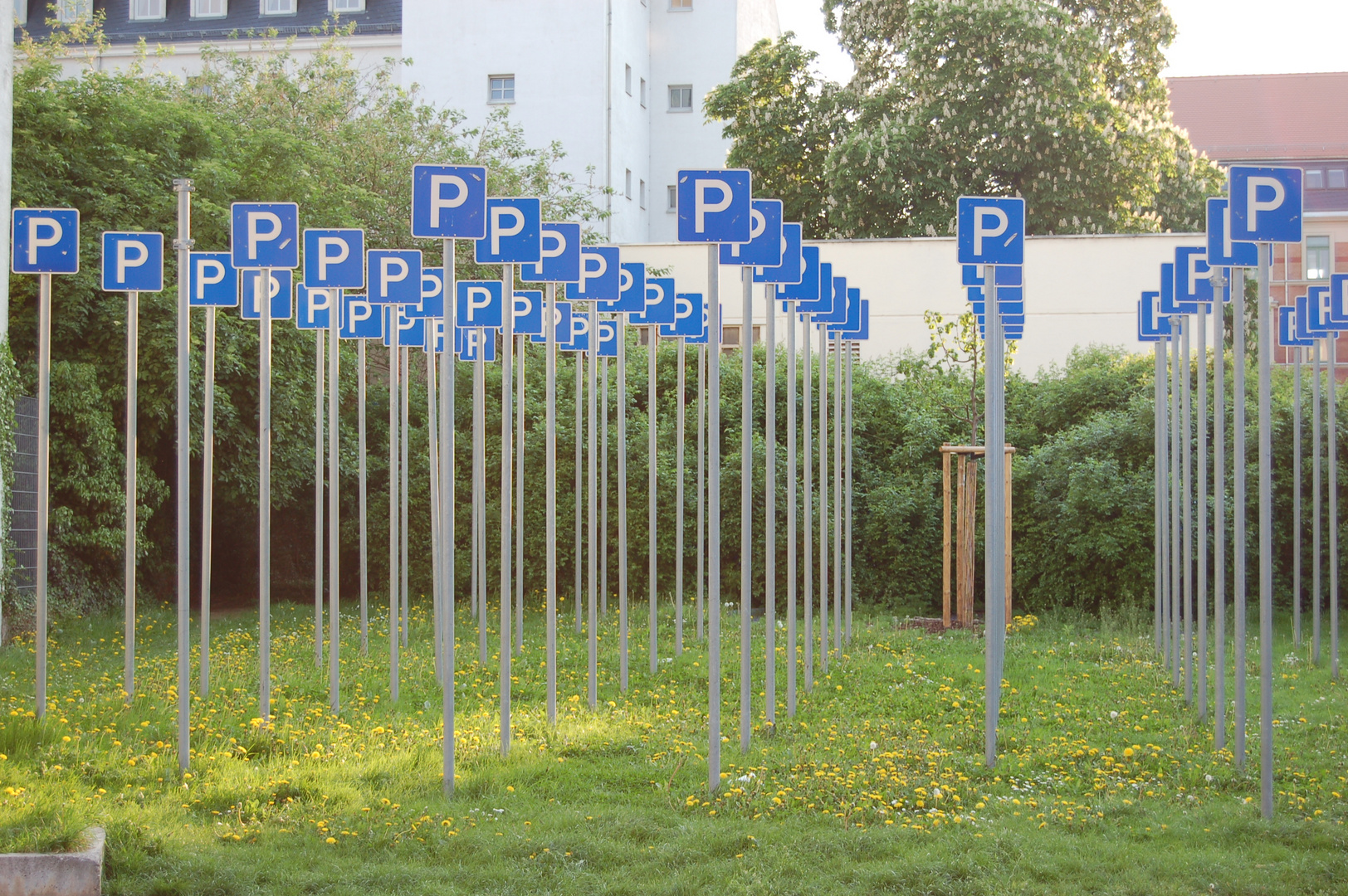 Im Stattpark zu Leipzig