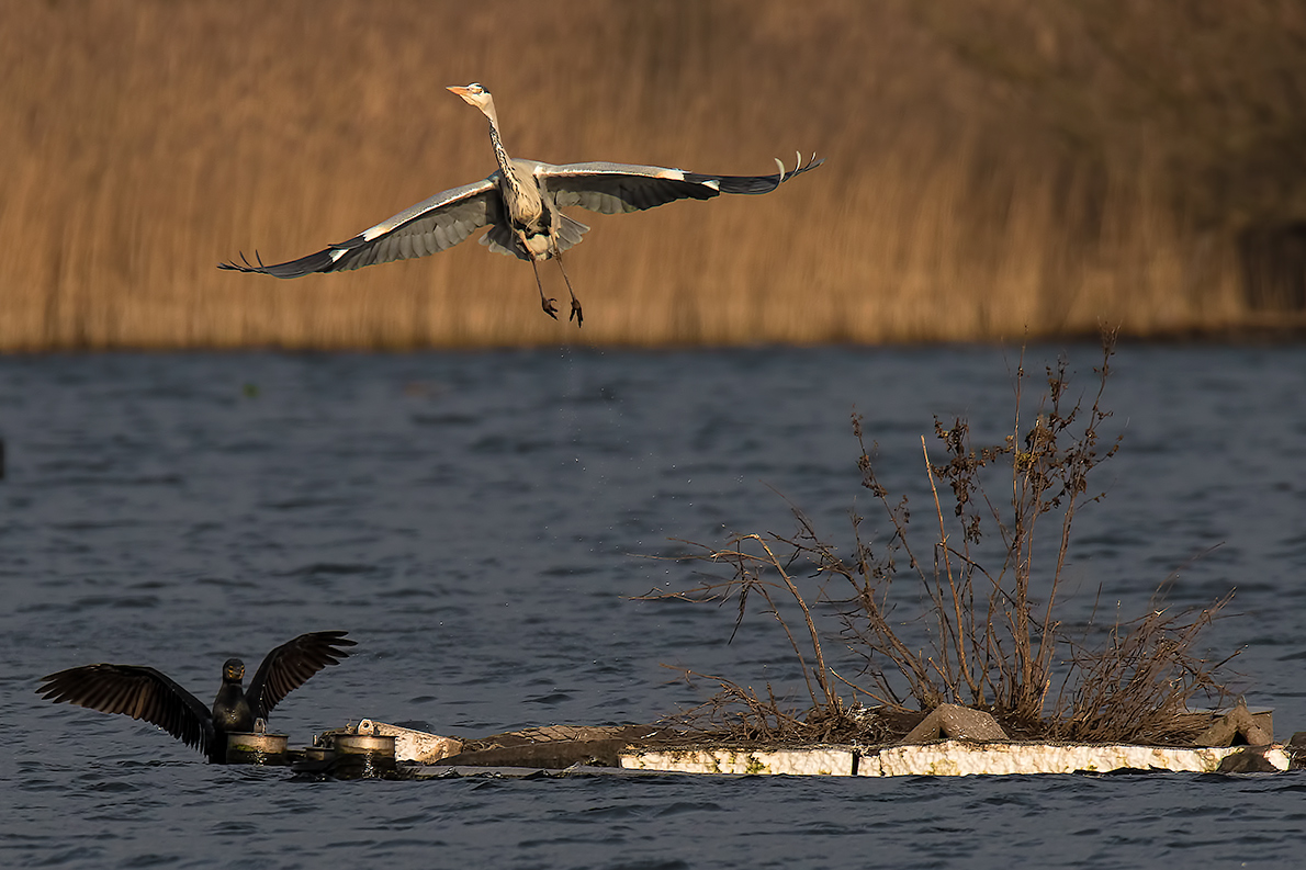 im Steigflug ...