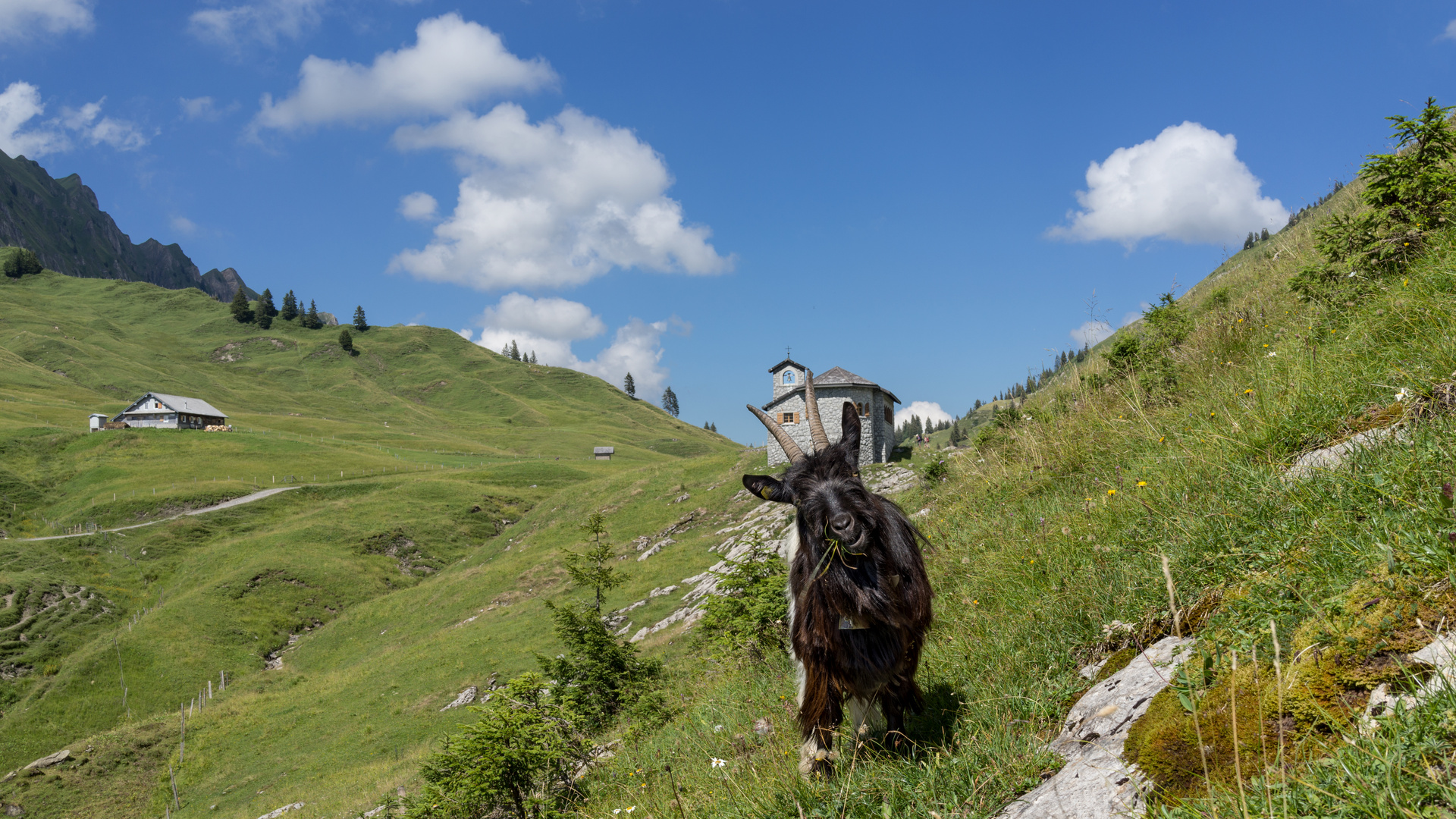 Im steilen Gelände