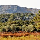 Im steinernen Herz der Insel