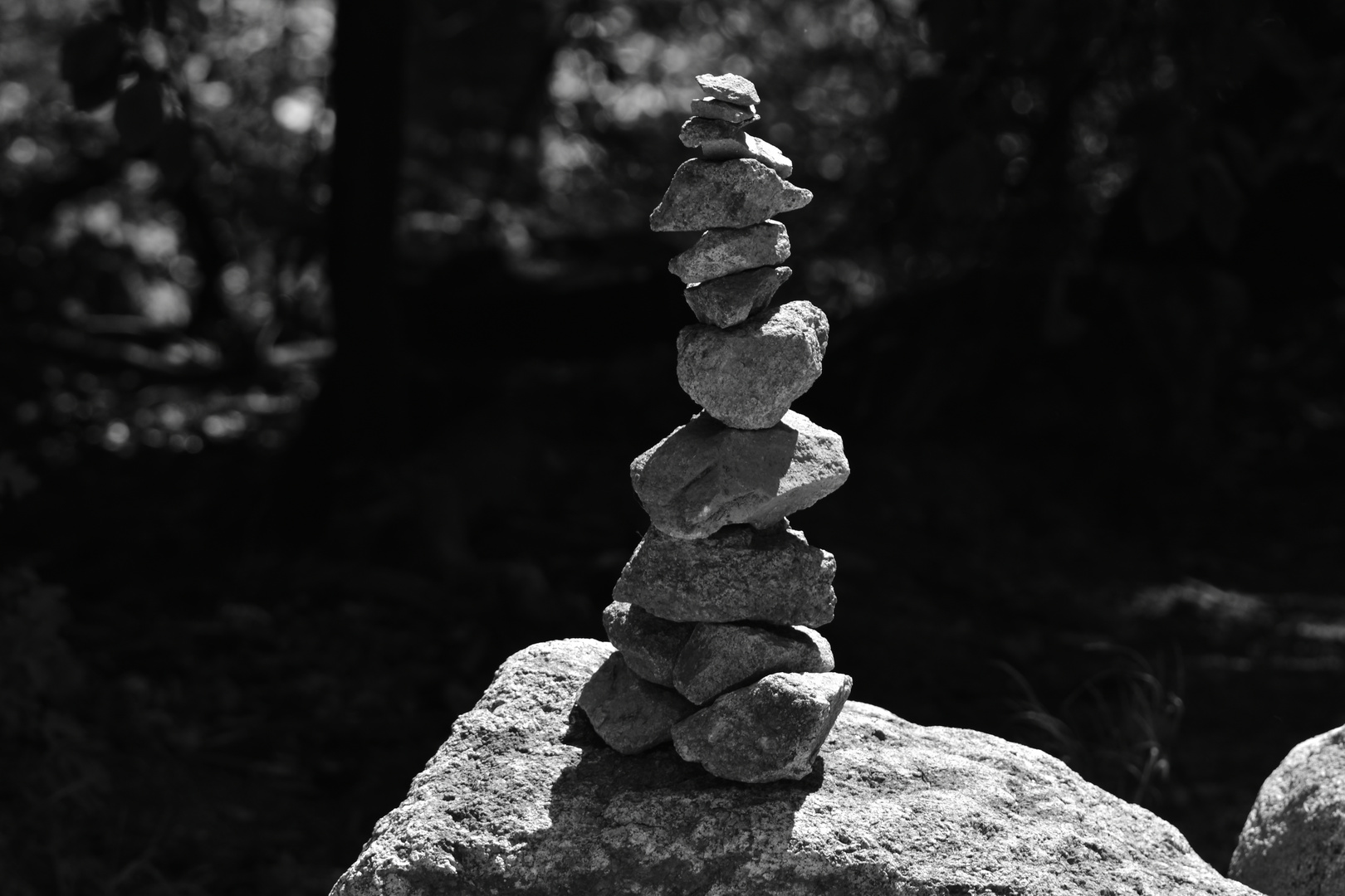 Im Steingarten #01, Am Trommturm (Rimbach)