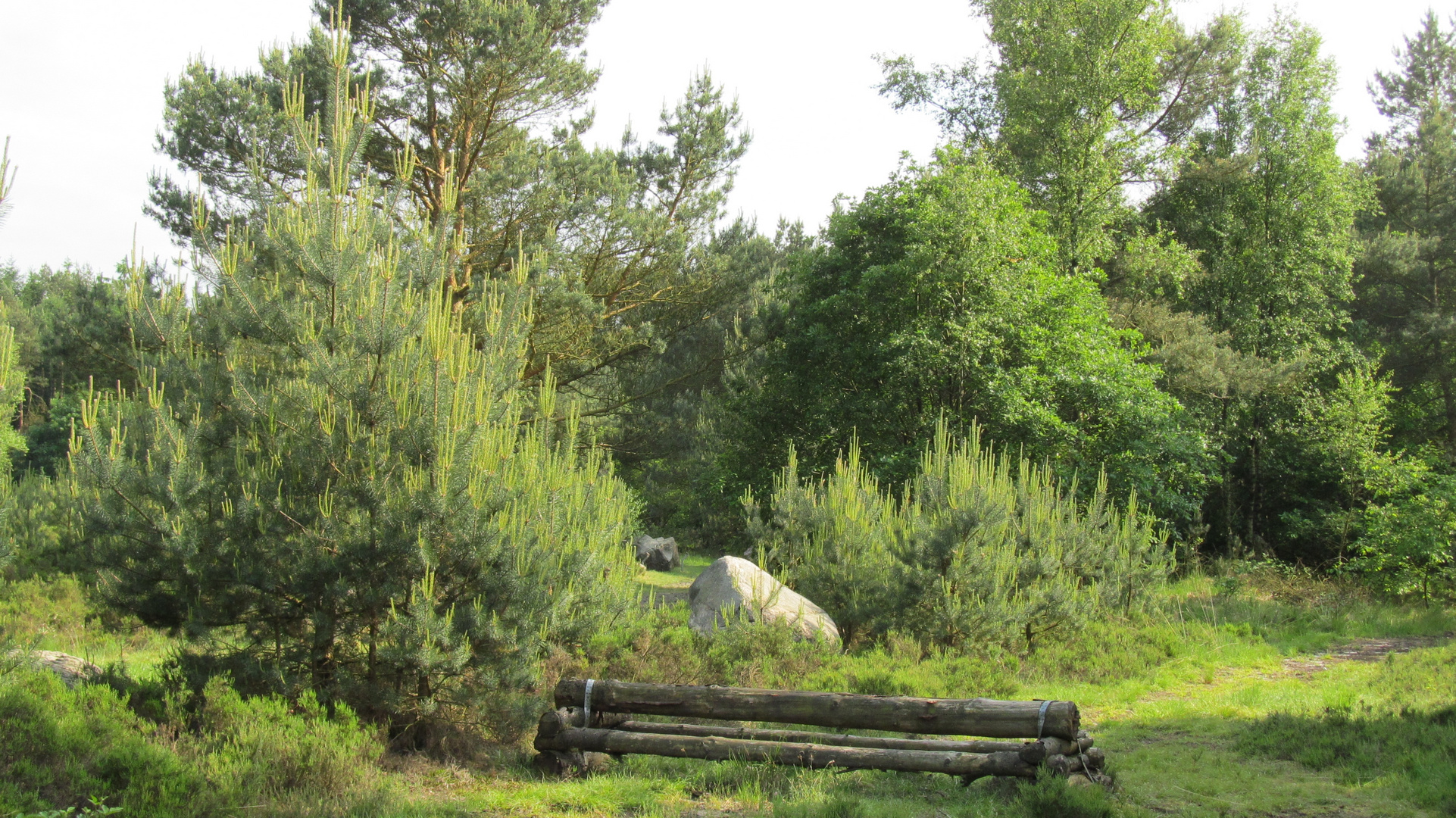 im Steingarten am Westerberg ...