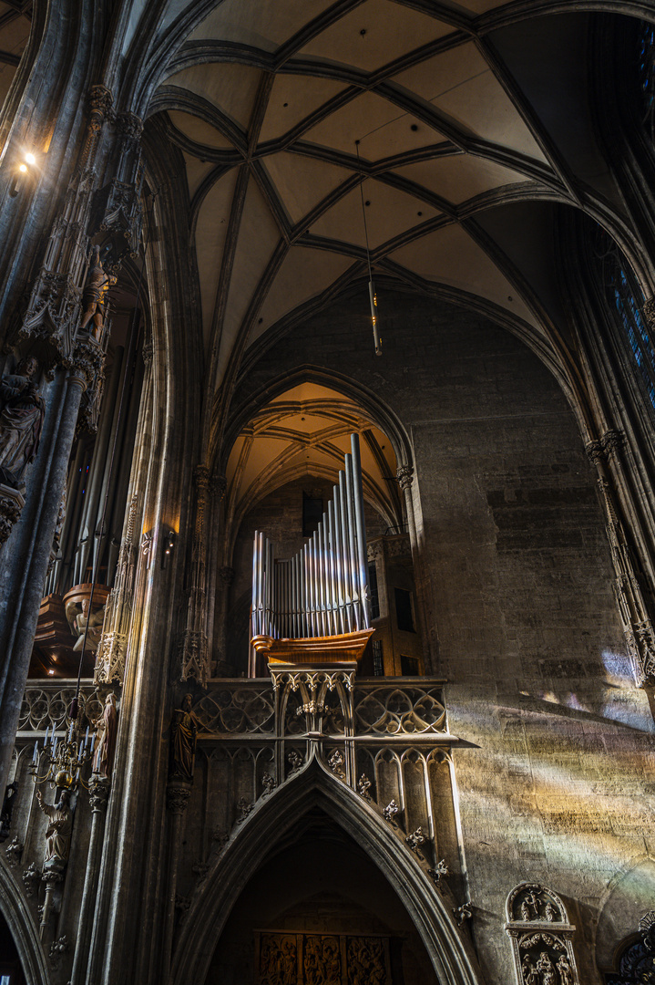 Im Stephansdom 4