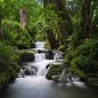 Im stillen ruhigen Wald