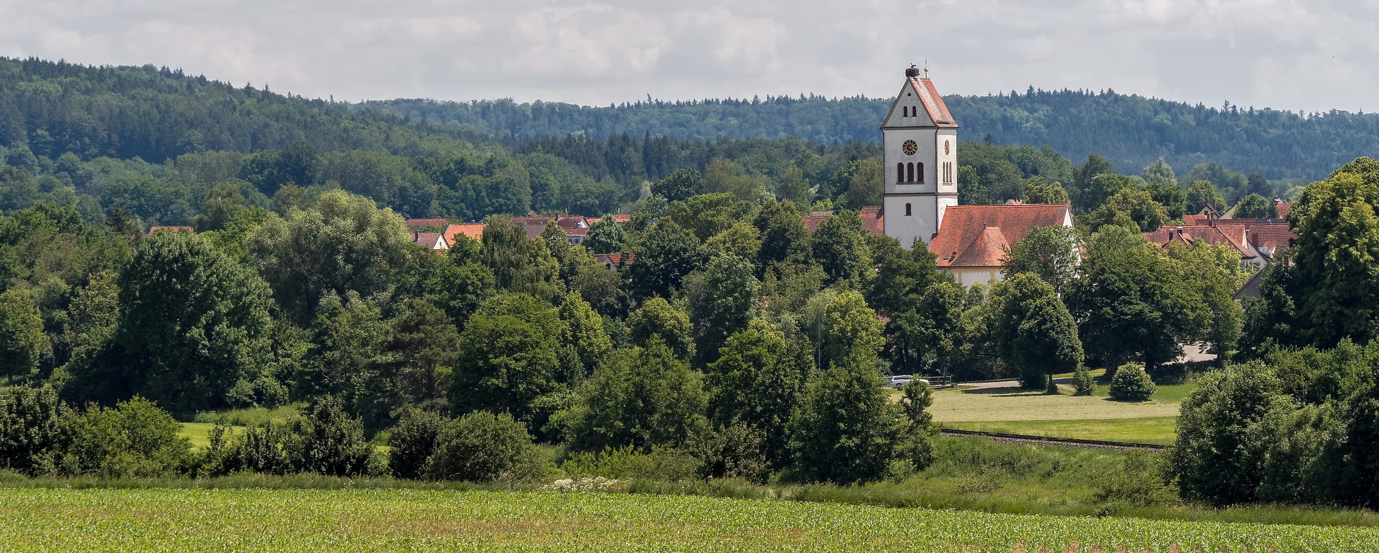 Im Storchenland