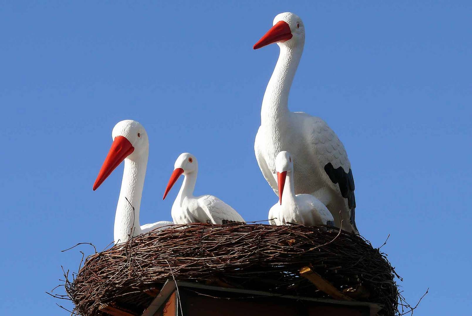 Storchennest voller Farbenfreude: Entdecke die Welt der kostenlosen Ausmalbilder!